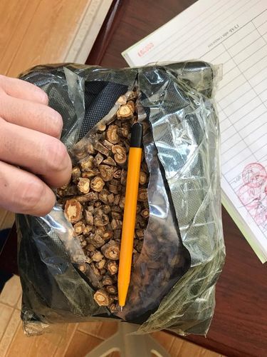 Вагоны үйлчлэгч хатаасан ургамал нууж хилээр нэвтрүүлэхийг завджээ